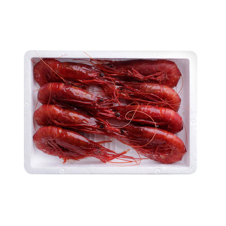 Carabinero Prawn XL