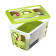 Puree Kiwi 100%