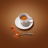 illy Whole Bean Arabica Selection Brazil