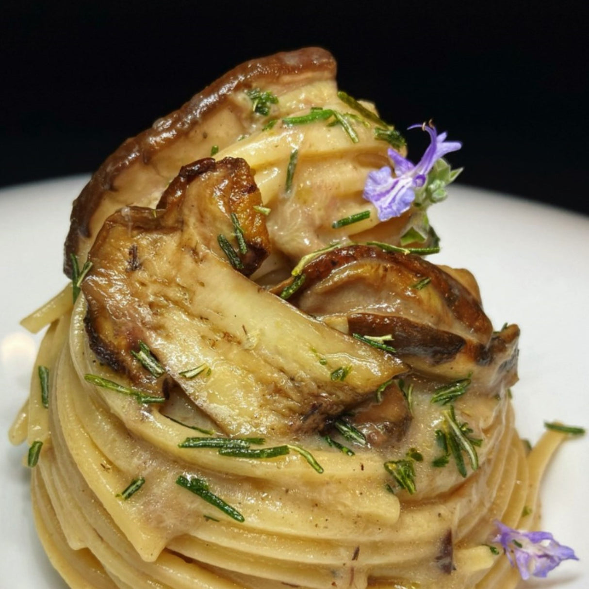 Armando Pasta Spaghetti Chitarra (Square)